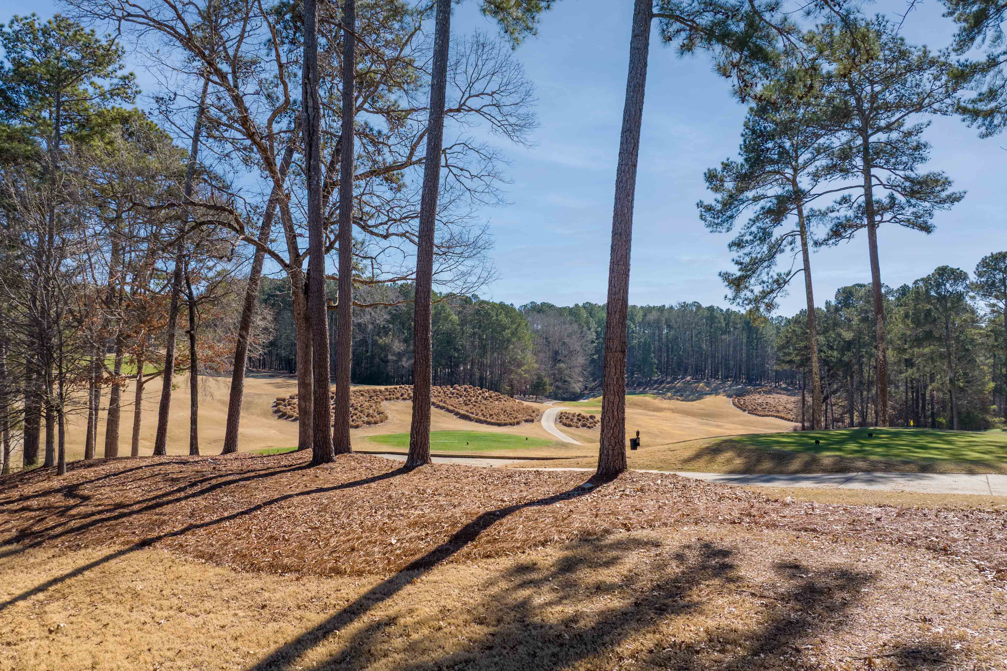 1011 Starboard Drive image 25